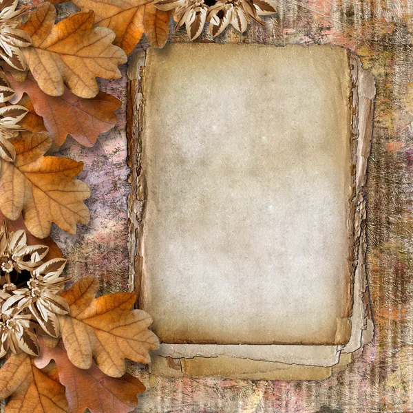 秋季帧的橡树叶对格兰杰背景. — 图库照片