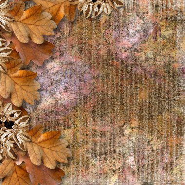 Autumn frame of oak leaves on a grange background. clipart