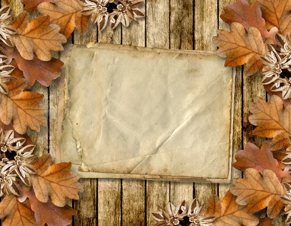 Autumn frame of oak leaves on a grange wooden background. — Stock Photo, Image