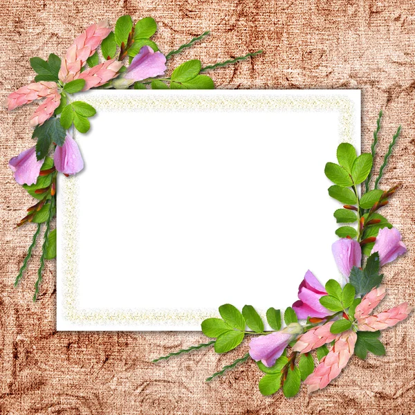 Flowered framework for greeting, congratulations or invitation — Stock Photo, Image