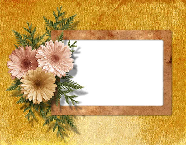 Gamla papper chrysanthemum på abstrakt bakgrund. — Stockfoto