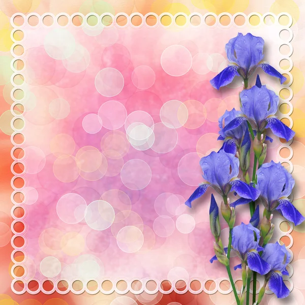 Multicoloured backdrop for greetings or invitations with bunch o — Stock Photo, Image