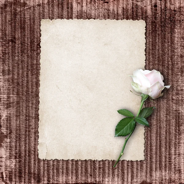 Page for photo or invitation on the vintage background. — Stock Photo, Image