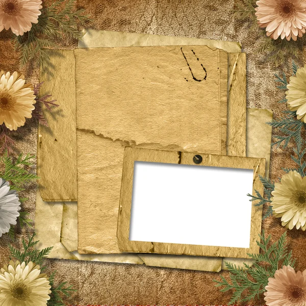 Vecchia carta con crisantemo sullo sfondo astratto — Foto Stock