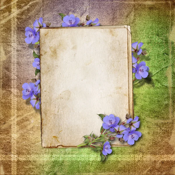 Card for greeting or invitation on the vintage background. Royalty Free Stock Images