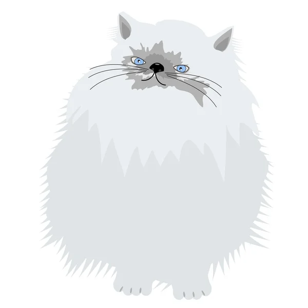 Bel gatto persiano su bianco — Vettoriale Stock