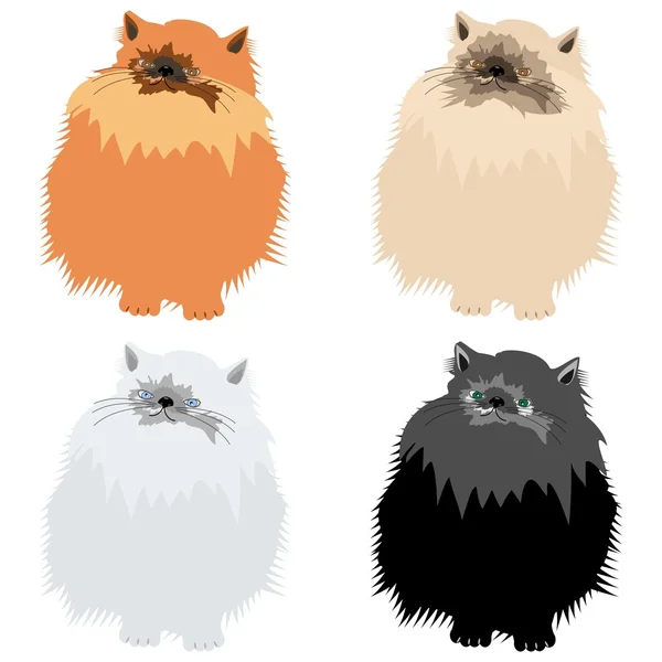 在白色背景上的四个长毛猫 — 图库矢量图片