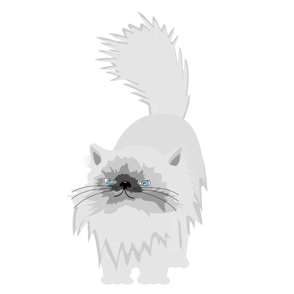 白い背景の上のペルシャ猫 — ストックベクタ
