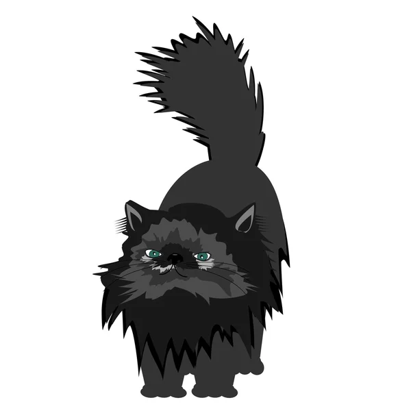 Persian cat on white background — Stock Vector