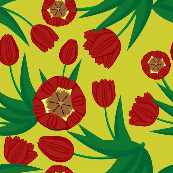 Fundo sem costura com tulipas —  Vetores de Stock