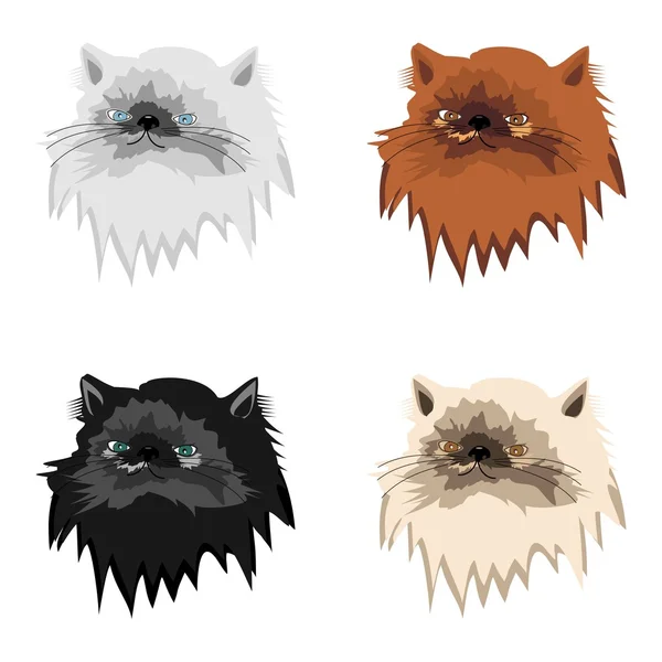 Four persian cats on white — Stock Vector