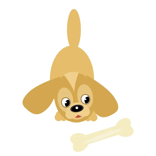 Trevlig liten hund med ben — Stock vektor