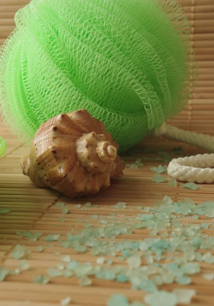 Sponge and shell on bamboo background — Stock Photo, Image