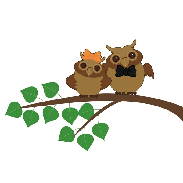 Dos lindos búhos en el árbol — Vector de stock