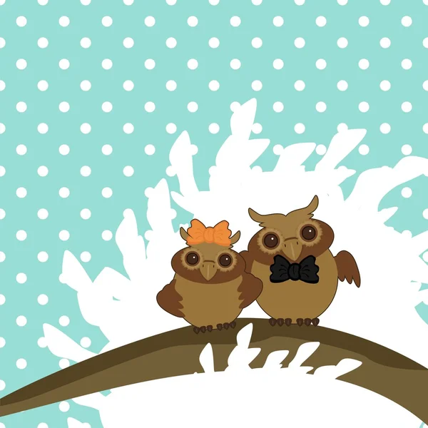 Twee mooie uilen op boom brunch — Stockvector