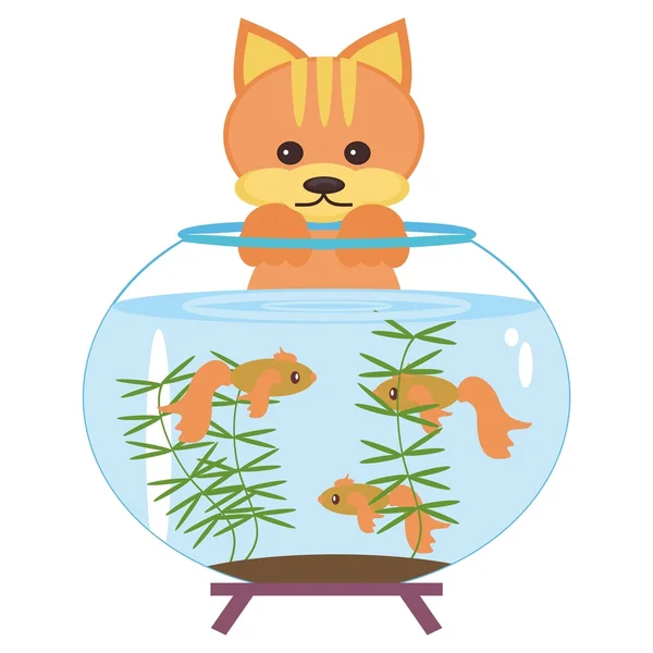 Bonito gato y acuario — Vector de stock