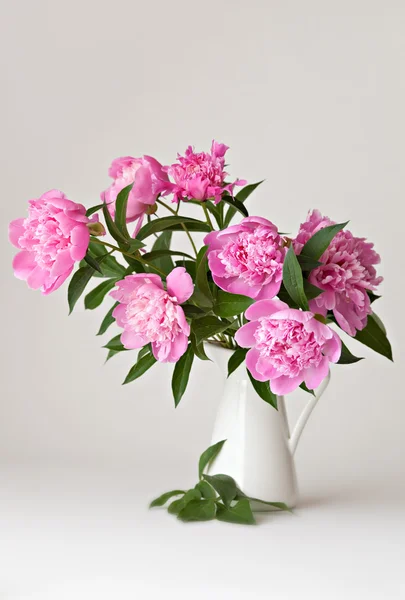 Vase of peony blooms — Stock Photo, Image