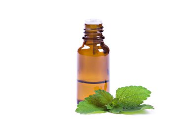 Peppermint oil and fresh mint clipart