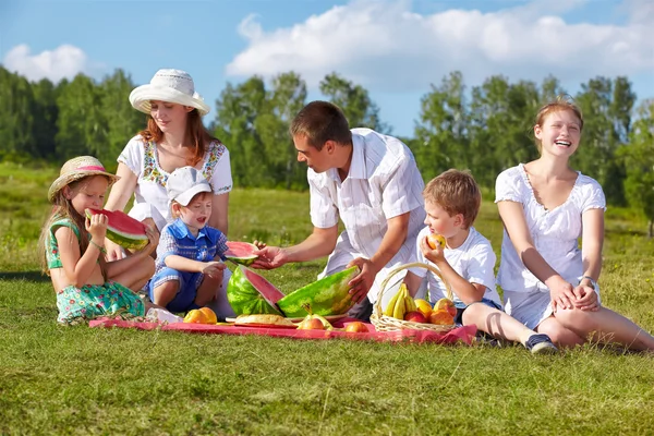 Family picnic in park