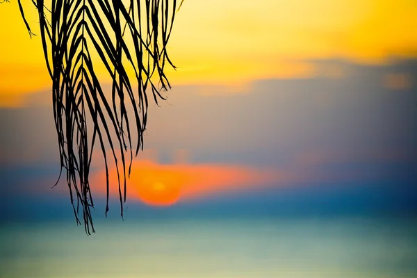 Coucher de soleil tropical — Photo