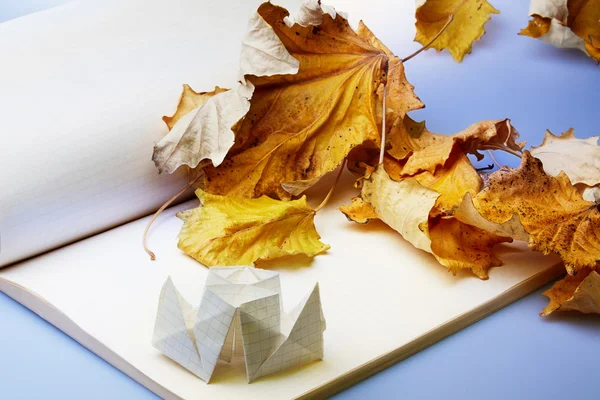 Origami et feuilles d'automne — Photo