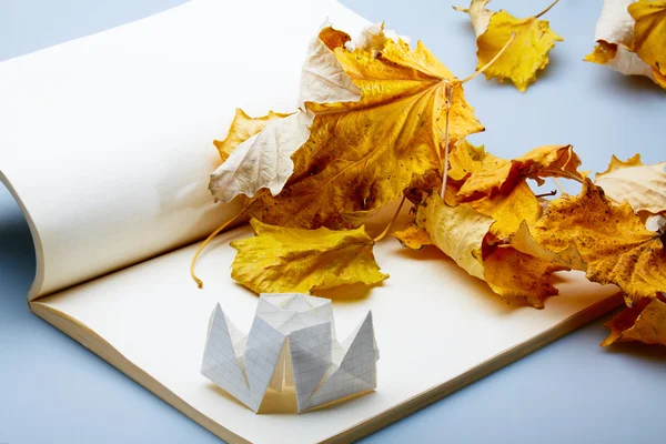 Origami and autumn leaves — Stock Photo, Image