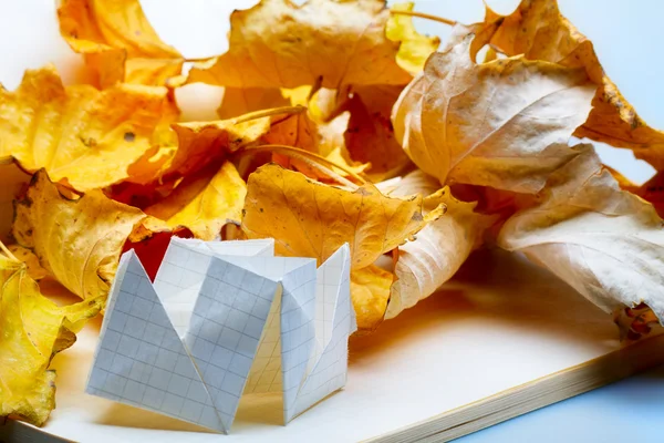 Origami and autumn leaves — Stock Photo, Image