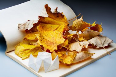 Origami and autumn leaves clipart
