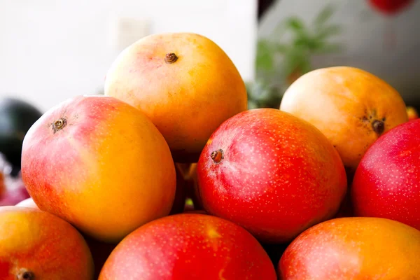 Frutas de mango — Foto de Stock