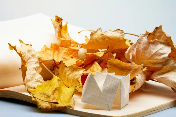 Origami y hojas de otoño — Foto de Stock