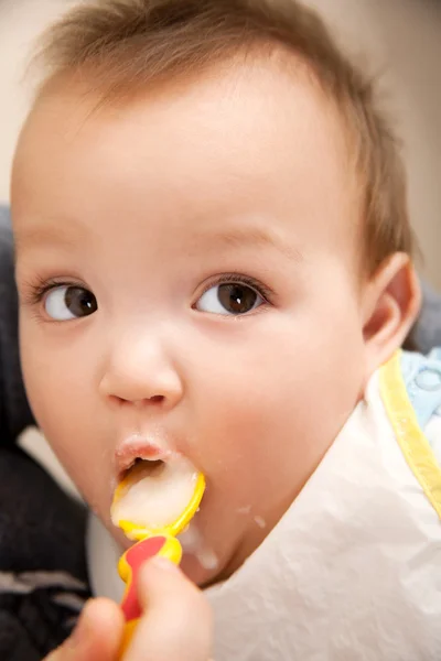 吃婴儿 — 图库照片