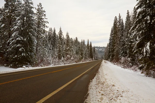 Route de montagne en hiver — Photo
