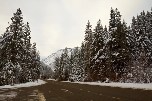 Estrada da montanha no inverno — Fotografia de Stock