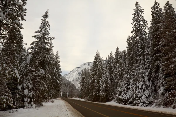 Camino de montaña en invierno —  Fotos de Stock