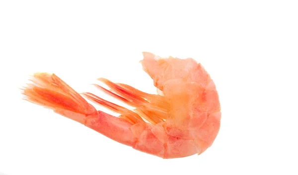Tail shrimp — Stock Photo, Image