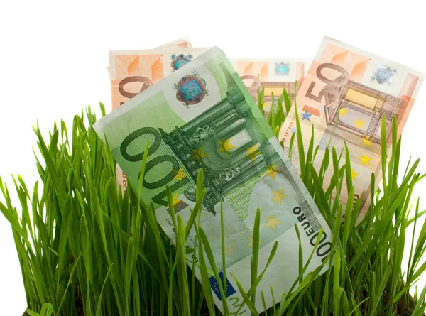 Euros na grama isolada — Fotografia de Stock