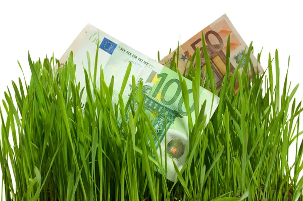 Euros en la hierba aislada —  Fotos de Stock