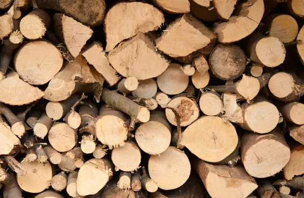 Brennholzstruktur — Stockfoto