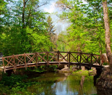 Old wooden bridge clipart