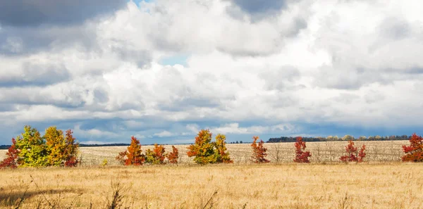 Autumn landscape of the field — Stock Photo, Image