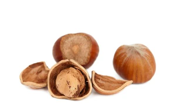 Hazelnuts isolated — Stock Photo, Image