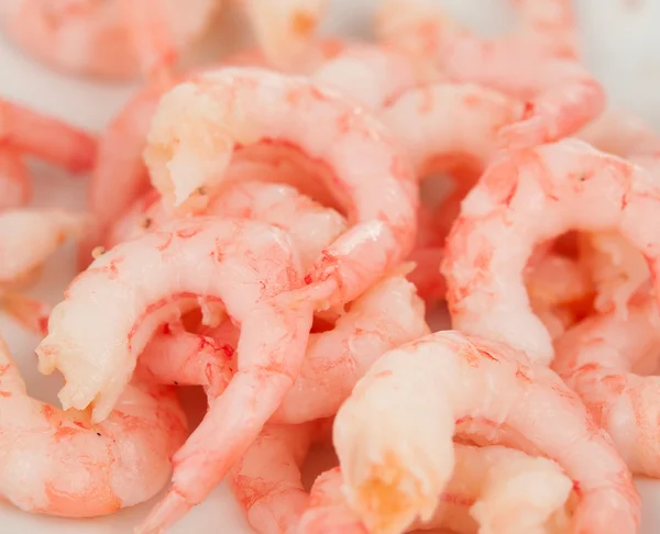 stock image Shrimp meat