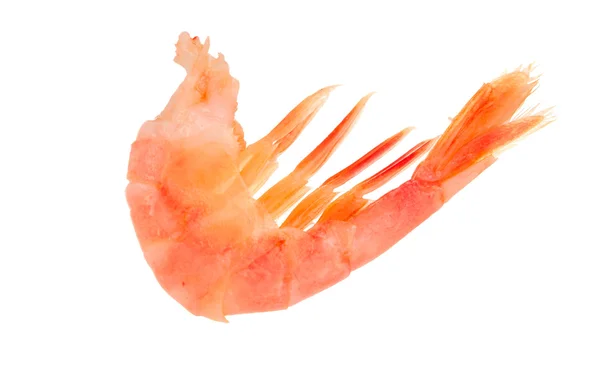 Carne de camarão — Fotografia de Stock