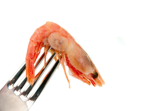 Crevettes sur une fourchette isolée — Photo