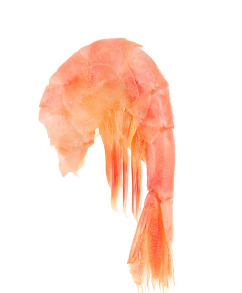 Carne de camarão — Fotografia de Stock