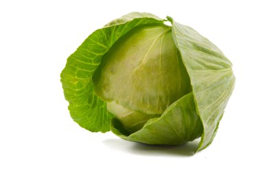 Cabbage clipart