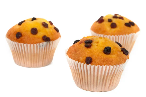 Muffins con pasas aisladas —  Fotos de Stock