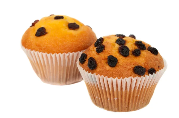 Muffins met rozijnen geïsoleerd — Stockfoto