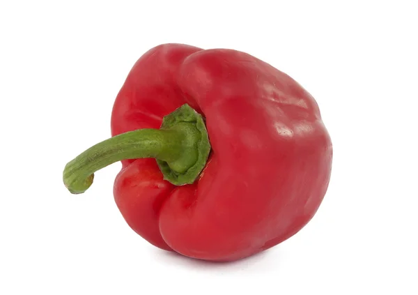 Red pepper isolated — Stock Photo, Image