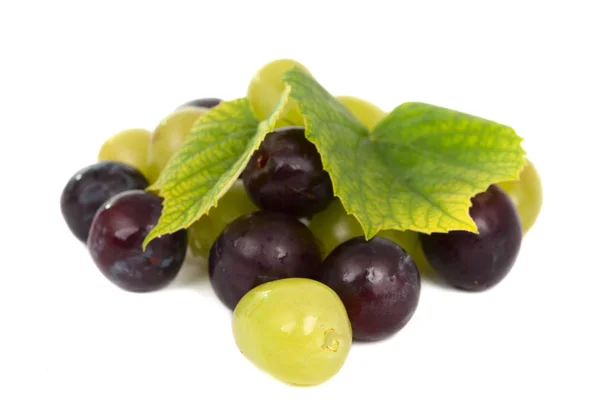 stock image Grapes